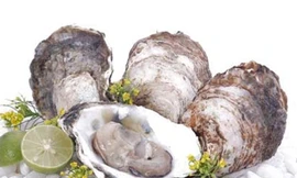 Ăn hàu sống, đầu hành… để 'sung'?