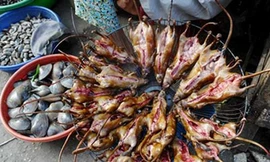 Thịt chuột Việt Nam lên báo nước ngoài