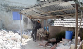 Nhiều cơ sở sản xuất hành dân