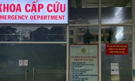 TPHCM: Sức khoẻ nạn nhân bị cây sao đè trúng ở quận 1 ra sao?