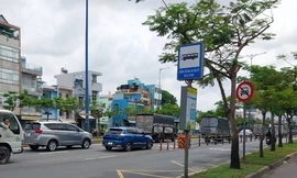 Chặt hạ 188 cây xanh để mở rộng làn xe máy trên đại lộ Đông Tây TPHCM