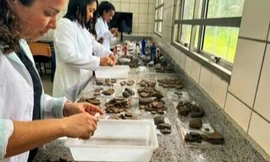 Xây chung cư, phát hiện 'kho báu khủng khiếp' 100.000 món