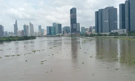 Cảnh báo triều cường vùng hạ lưu sông Sài Gòn - Đồng Nai