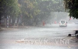 Mưa rải rác, nhiều diện tích cây trồng ở Bình Phước được 'giải khát'