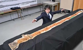 Tìm thấy thanh kiếm khổng lồ dài 2,37 m ở cố đô Nhật Bản