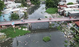 Chủ tịch UBND TPHCM thúc tiến độ thực hiện dự án rạch Xuyên Tâm