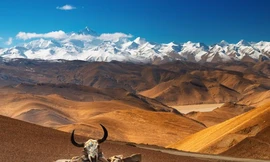 Trái Đất dịch chuyển, Tây Tạng có dấu hiệu bị xé làm đôi