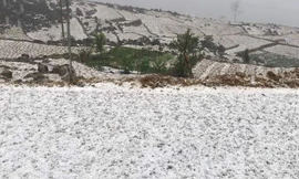 Cận cảnh mưa đá gây thiệt hại lớn ở các tỉnh miền núi phía Bắc