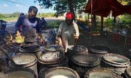 Bình Phước: Giá 'vàng trắng' tiếp tục tăng vọt, nhà nông phấn khởi