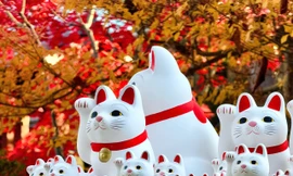 Xem tượng mèo vẫy tay mang lại tiền tài, may mắn 