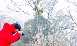 Băng giá phủ trắng trên đỉnh núi Lảo Thần xã Y Tý