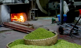 Làng Mễ Trì 'đỏ lửa' rộn ràng vào vụ cốm lớn nhất trong năm