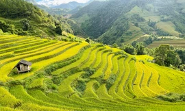 Mê mẩn ngắm tuyệt tác của núi rừng Tây Bắc