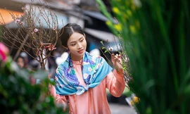 Rực rỡ sắc màu chợ hoa Xuân Hàng Lược