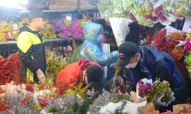 Chợ hoa đêm nhộn nhịp trước ngày Valentine dù mưa rét