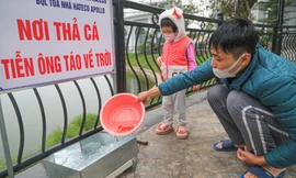 Hà Nội: 'Cá chép bơi đi, nilon ở lại' 