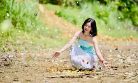 Bướm bay rợp trời ở Cúc Phương 