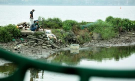 Nước hồ Tây ô nhiễm, nhiều thông số vượt ngưỡng cho phép