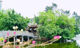 Độc đáo nơi trú ngụ của đàn chim giữa lòng hồ Trúc Bạch