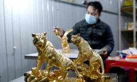 Gian nan chế tác hổ mạ vàng 24k