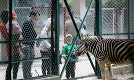 Công viên lâu đời nhất Hà Nội thu hút đông khách tham quan dịp Tết