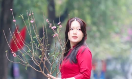 Những cô gái Hà thành thướt tha áo dài xuống phố đón xuân