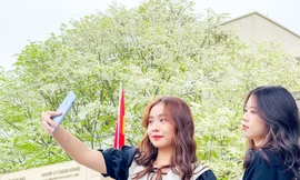 Đẹp ngỡ ngàng mùa hoa sưa nở trắng trời Hà Nội