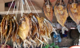 Chuyện Lào: Kỳ khôi đường cá Nậm Ngừm