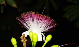 Những khoảnh khắc Trường Sa