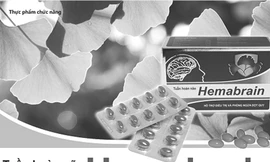 Thiểu năng tuần hoàn não - Kẻ thù của giới văn phòng