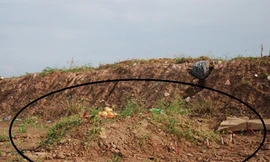 Toàn cảnh vụ án xác chết không đầu ở Hà Nội