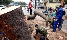 Theo chỉ đạo, việc xử lý trách nhiệm phải bảo đảm tính kỷ cương, tinh thần nghiêm túc, cầu thị, không được xử lý kiểu "hòa cả làng". Ảnh: Zing