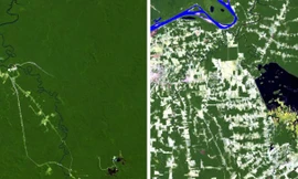 Những biến đổi của Trái đất qua ảnh vệ tinh