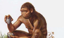 Những phát hiện xác định nguồn gốc loài người