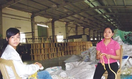 Trước khi Cty ROBE (ông chủ người Việt) tiếp quản nhà xưởng này đã có hai chủ Hàn Quốc bỏ trốn để lại khoản nợ hàng triệu USD cho chủ nợ Agribank Phú Thọ (trong ảnh: Nhân viên Cty ROBE đang đóng gói dây thừng). Ảnh: Phong Cầm