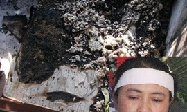 Diễn tiến vụ án vợ đốt nhà báo Hoàng Hùng