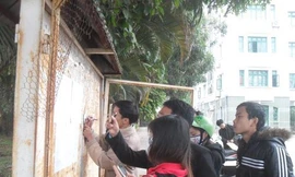 SV sư phạm bị từ chối tuyển dụng