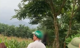 Phát hiện hai người treo cổ tự tử trên đồi cây ở Yên Bái