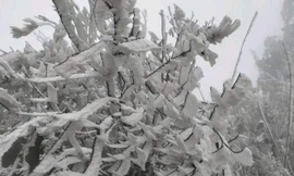 Xuất hiện băng giá ở Mù Cang Chải 