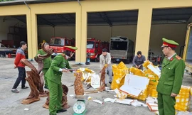 Dùng xe chở thư báo để vận chuyển trái phép gỗ 