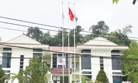 Một doanh nghiệp bị phạt hơn 200 triệu đồng do vi phạm luật bảo vệ môi trường