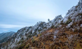 Băng tuyết phủ trắng núi cao Mù Cang Chải