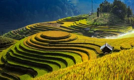 Sa Pa và Mù Cang Chải thúc đẩy hợp tác phát triển du lịch