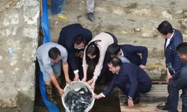 Thả 8 tấn cá bổ sung nguồn thủy sản cho hồ nhân tạo lớn nhất Yên Bái