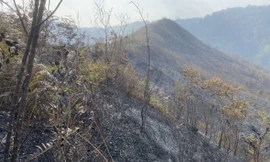 Cháy rụi 2,5ha rừng tái sinh tại Mù Cang Chải