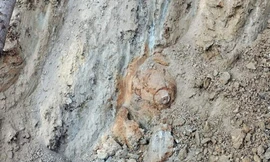 Phát hiện bom trong trường, hơn 600 học sinh phải nghỉ học