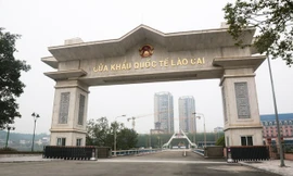 Nhiều giám đốc doanh nghiệp bị hoãn xuất cảnh