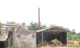 Xả thải vượt quy chuẩn, một doanh nghiệp ở Yên Bái bị phạt gần 400 triệu đồng