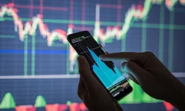 Đình chỉ giao dịch nhiều cổ phiếu, công ty con của Tân Hoàng Minh vào 'tầm ngắm'