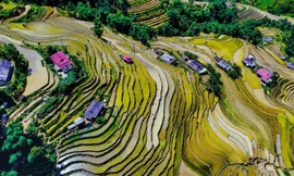 Bên lề hội nghị còn có triển lãm ảnh nghệ thuật “Vùng Trung du miền núi phía Bắc: Tiềm năng và cơ hội” (ảnh: một tác phẩm sẽ dự triển lãm)